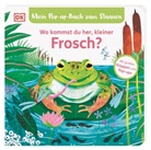 Sandra Grimm, Amy Grimes, DK Verlag - Kids, DK Verlag - Kids - Mein Pop-up-Buch zum Staunen. Wo kommst du her, kleiner Frosch?