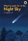 Ladybird, Tbc, Jiatong Liu - What to Look For in the Night Sky