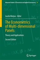 Laszlo Matyas - The Econometrics of Multi-dimensional Panels