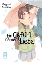 Megumi Morino - Ein Gefühl namens Liebe 14