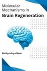 Bipin Abhipradnya - Molecular Mechanisms in Brain Regeneration