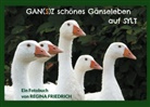 Regina Friedrich - GAN(S)Z schönes Gänseleben auf SYLT