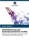 Erdem Aktosun - Identifizierung der hydrodynamischen Kräfte