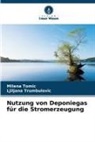Milena Tomic, Ljiljana Trumbulovic - Nutzung von Deponiegas für die Stromerzeugung
