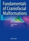 Ulrich Meyer - Fundamentals of Craniofacial Malformations