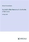 Richard Francis Burton - Goa And the Blue Mountains; Or, Six Months of Sick Leave
