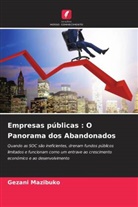 Gezani Mazibuko - Empresas públicas : O Panorama dos Abandonados