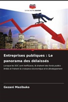 Gezani Mazibuko - Entreprises publiques : Le panorama des délaissés