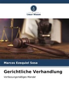 Marcos Ezequiel Sosa - Gerichtliche Verhandlung