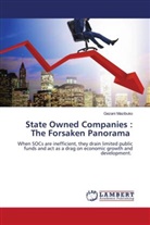 Gezani Mazibuko - State Owned Companies : The Forsaken Panorama