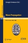 Giorgio Ferrarese - Wave Propagation