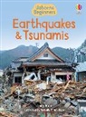 Emily Bone, Bone Emily, Nathalie Hinrichsen, Natalie Hinrichsen, Hinrichsen Natalie - Earthquakes & Tsunamis
