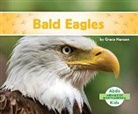 Grace Hansen - Bald Eagles