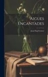 Joan Puig Ferreter - Aigues Encantades