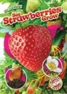 Kirsten Chang - See Strawberries Grow