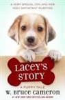 W Bruce Cameron, W. Bruce Cameron - Lacey's Story