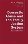 Chloe Ashley, Jo Delahunty, Michelle Heeley, Ian McArdle - Domestic Abuse and the Family Justice System