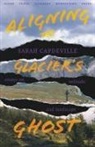 Sarah Capdeville - Aligning the Glacier's Ghost
