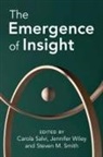 Carola (John Cabot University Salvi, Carola Salvi, Steven M. Smith, Smith Steven M., Jennifer Wiley, Wiley Jennifer - Emergence of Insight