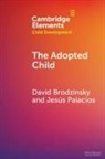 David Brodzinsky, David (Rutgers University) Palacios Brodzinsky, Jesus Palacios, Palacios Jesus - Adopted Child