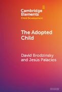 David Brodzinsky, David (Rutgers University) Palacios Brodzinsky, Jesus Palacios,  Palacios Jesus - Adopted Child