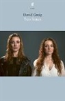 David Greig - Two Sisters