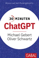 Michael Gebert, Parsa Marvi, Oliver Schwartz - 30 Minuten ChatGPT