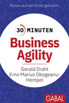 Gerald Draht, Erno Marius Obogeanu-Hempel - 30 Minuten Business Agility