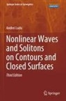Andrei Ludu - Nonlinear Waves and Solitons on Contours and Closed Surfaces