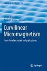 D Sheka, Denys Makarov, Denis D. Sheka - Curvilinear Micromagnetism
