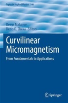 D Sheka, Denys Makarov, Denis D. Sheka - Curvilinear Micromagnetism