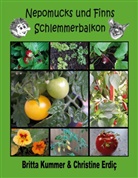 Christine Erdiç, Britta Kummer - Nepomucks und Finns Schlemmerbalkon