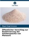 Miguel Ángel de Jesús - Öffentlicher Vorschlag zur Reaktivierung der Salzbergwerke von Manaure