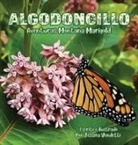 Jessica Vendetti - Algodoncillo