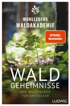 Wohllebens Waldakademie - Waldgeheimnisse