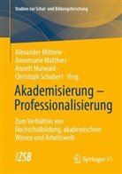 Annett Maiwald, Annett Maiwald u a, Annemarie Matthies, Alexander Mitterle, Christoph Schubert - Akademisierung - Professionalisierung