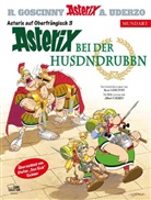 René Goscinny, Albert Uderzo - Asterix Mundart Oberfränkisch III