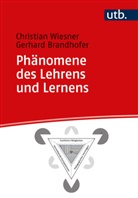 Gerhard Brandhofer, Gerhard (Prof. Dr.) Brandhofer, Christian Wiesner - Phänomene des Lehrens und Lernens
