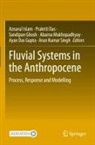 Prakriti Das, Ayan Das Gupta, Sandipan Ghosh, Sandipan Ghosh et al, Aznarul Islam, Arun Kumar Singh... - Fluvial Systems in the Anthropocene