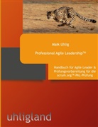 Maik Uhlig - Professional Agile Leadership