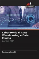 Raghava Rao N. - Laboratorio di Data Warehousing e Data Mining