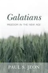 Paul S Jeon, Paul S. Jeon - Galatians