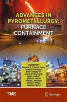 Gerardo Alvear, Gerardo R. F. Alvear Flores, Camille Fleuriault, Dean Gregurek, Dean Gregurek et al, Hugo Joubert... - Advances in Pyrometallurgy