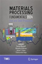 Alexandra Anderson, Chukwunwike Iloeje, Adrian S Sabau et al, Adrian S. Sabau, Samuel Wagstaff - Materials Processing Fundamentals 2024