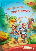 Sandra Grimm, Philipp Ach - Der geheime Drachenwald