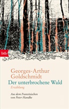 Georges-Arthur Goldschmidt - Der unterbrochene Wald
