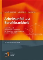 St Brandenburg, Stephan Brandenburg, Gerhard Mehrtens, Gerhard (Prof. Dr. jur.) Mehrtens, Al Schönberger, Alfred Schönberger... - Arbeitsunfall und Berufskrankheit