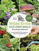 Michel Luchesi - Wilde Ernte aus dem Wald - 40 essbare Pflanzen - einfache Bestimmung, kompaktes Wissen und leckere Rezepte