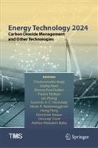 Shafiq Alam, Alafara Abdullahi Baba, Donna Post Guillen, Nawshad Haque, Susanna A. C. Hockaday, Chukwunwike Iloeje... - Energy Technology 2024