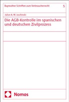 Julian A M Jaschinski, Julian A. M. Jaschinski - Die AGB-Kontrolle im spanischen und deutschen Zivilprozess